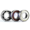 6009 2RSL 2RSH 2RS1 deep groove ball bearings